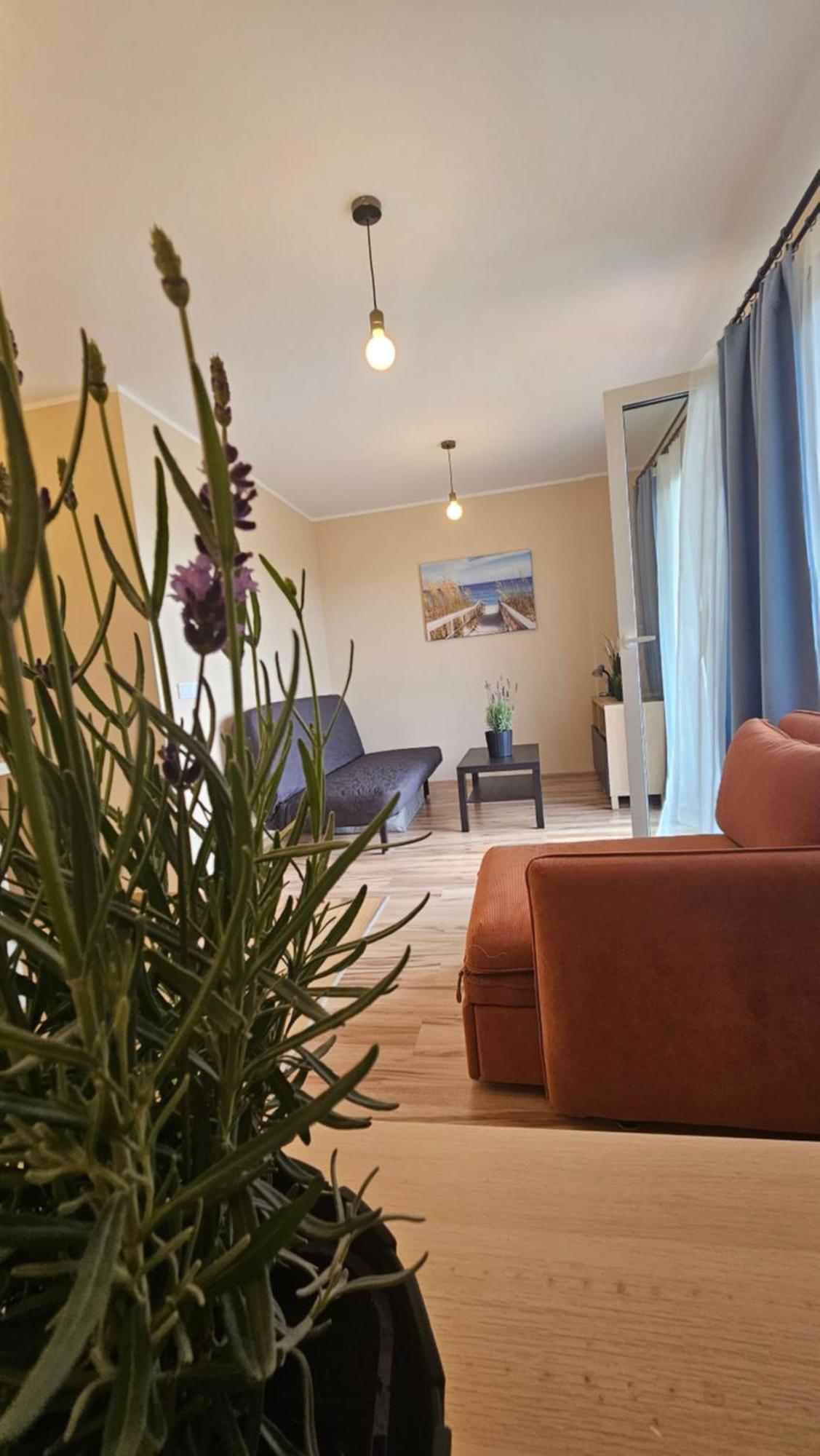 M&K Apartament Ptasi Raj - Wyspa Sobieszewska กดัญสก์ ภายนอก รูปภาพ